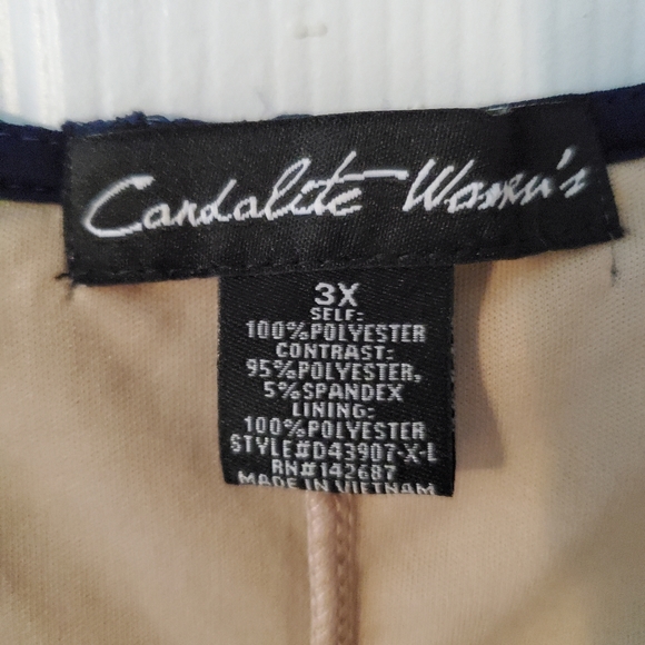 Navy and tan lace maxi dress - Picture 3 of 5